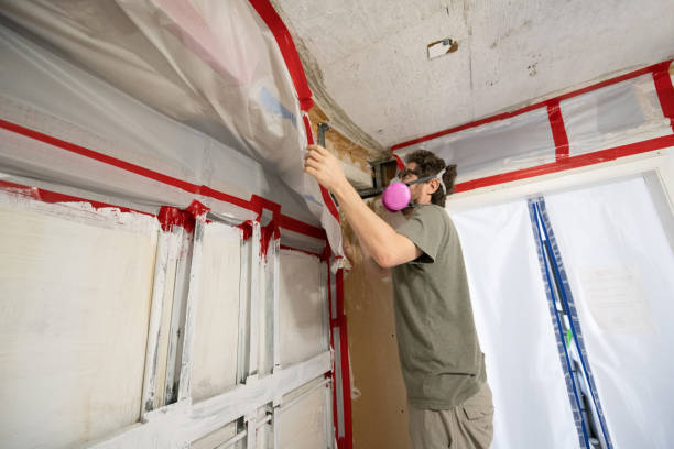 Hokes Bluff, AL Mold Inspection, Removal & Remediation Company